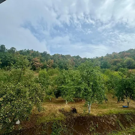 Villa La Femme